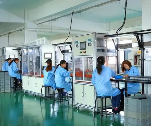 1980年我大學(xué)畢業(yè),剛到工廠上班妻子逼我當(dāng)老師,改變了我的一生